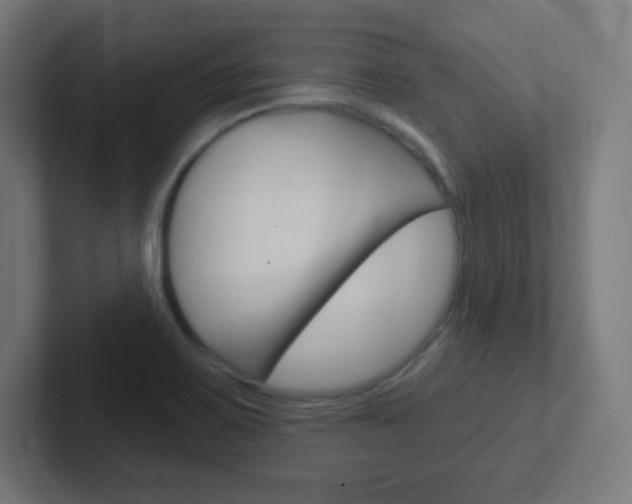 X0000102411467200808011006