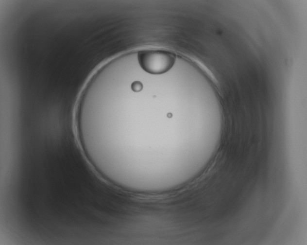 X0000102411468200808011006