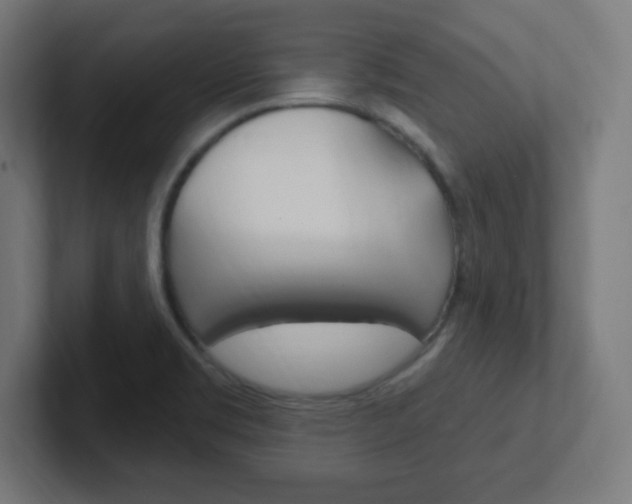 X0000102411469200808011006