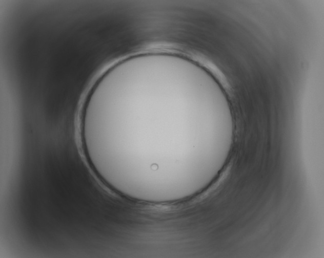 X0000102411470200808011006
