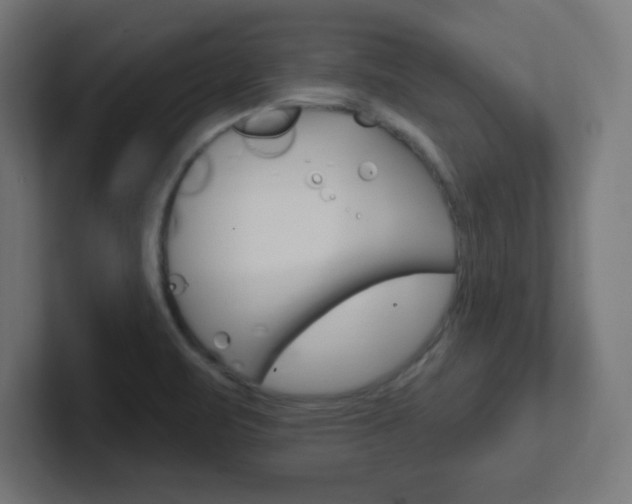 X0000102411471200808011006