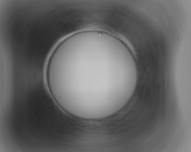 X0000102411472200808011006