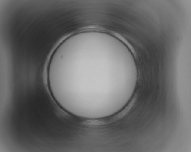 X0000102411474200808011006