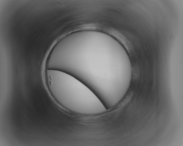 X0000102411475200808011006