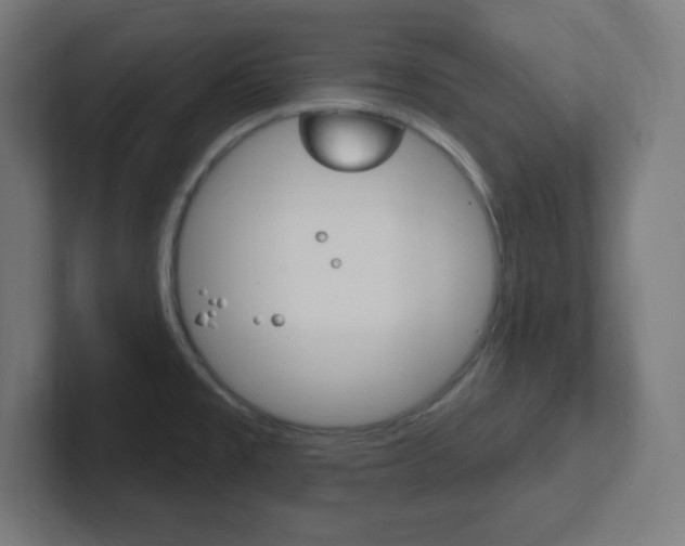 X0000102411477200808011006
