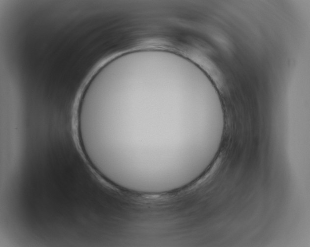 X0000102411478200808011006