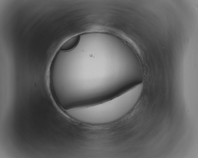X0000102411479200808011006