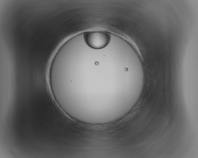 X0000102411480200808011006