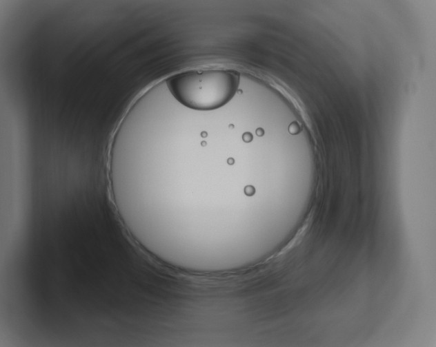 X0000102411481200808011006