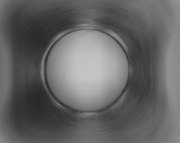 X0000102411482200808011006