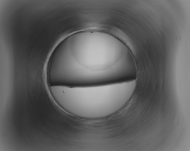 X0000102411483200808011006