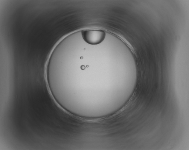 X0000102411484200808011006