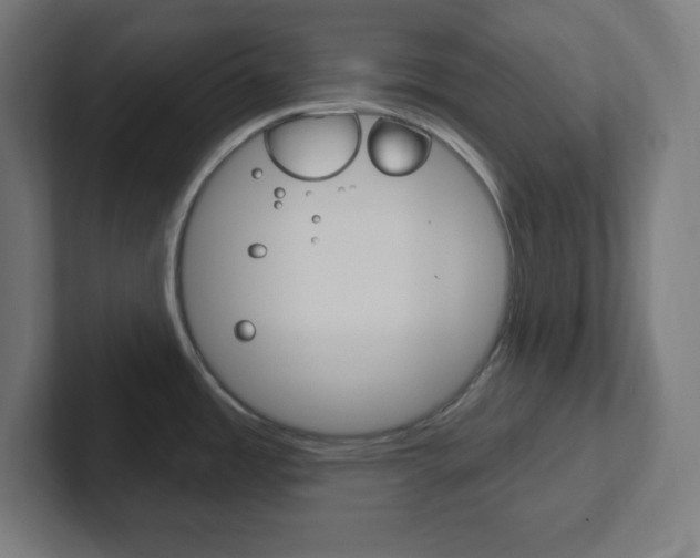 X0000102411485200808011006