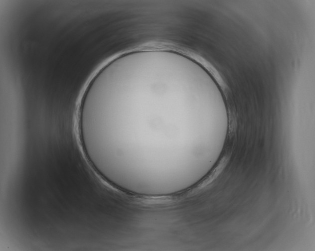 X0000102411486200808011006