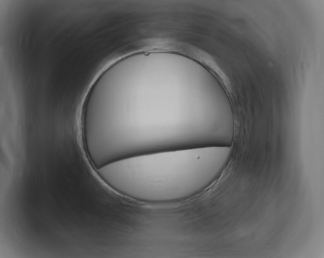 X0000102411487200808011006