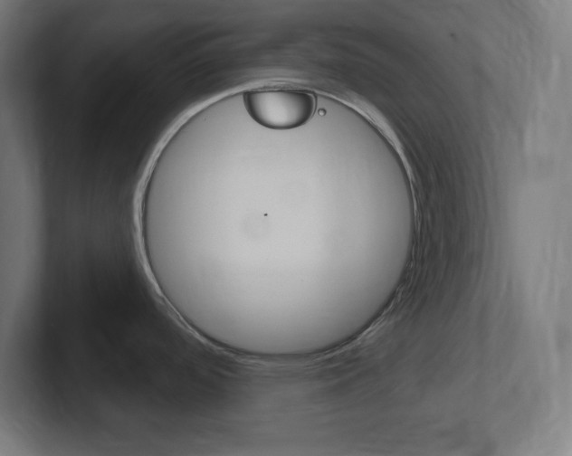 X0000102411488200808011006