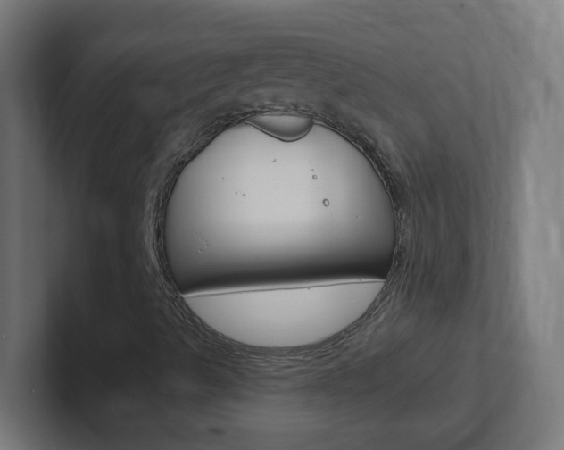 X0000102411489200808011005