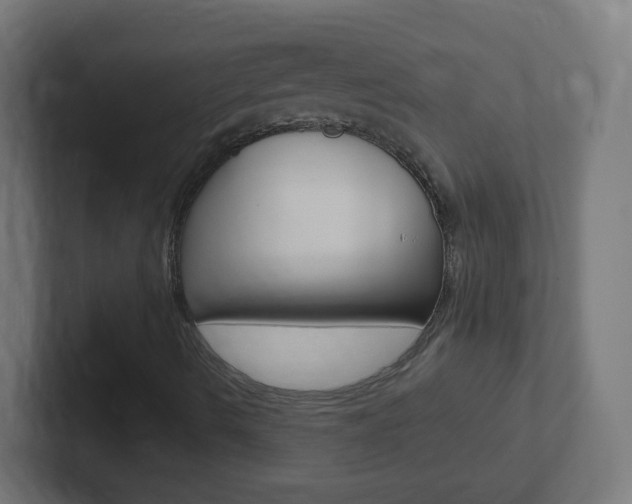 X0000102411490200808011005