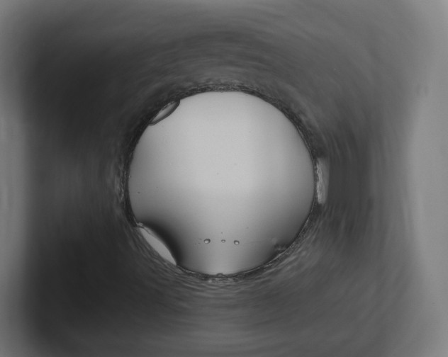 X0000102411491200808011005
