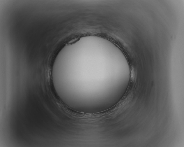 X0000102411492200808011005
