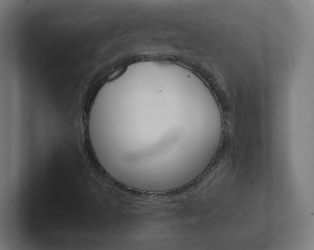 X0000102411493200808011005