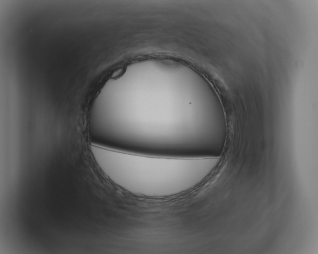 X0000102411494200808011005