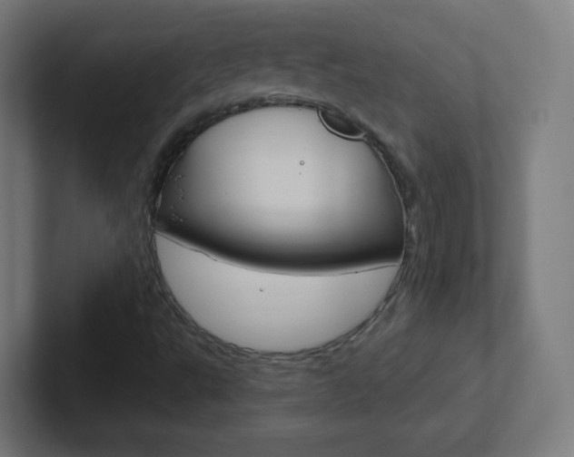 X0000102411495200808011005