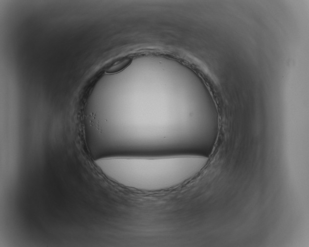 X0000102411496200808011005