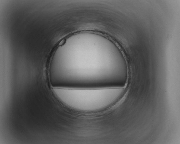 X0000102411497200808011005