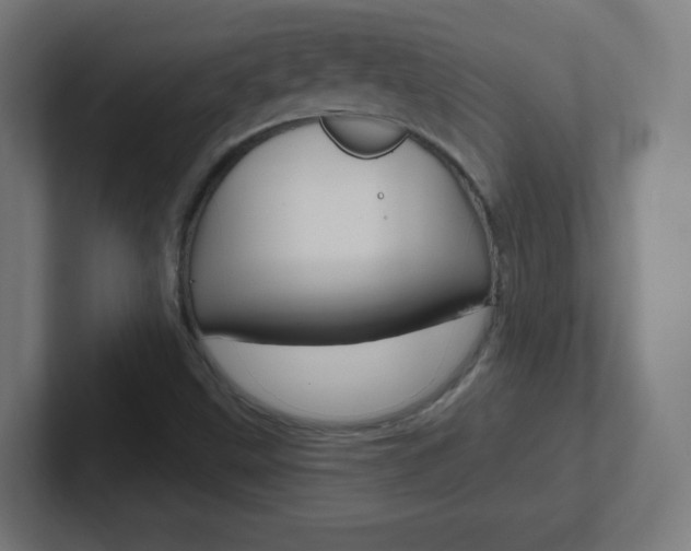 X0000102411499200808011005