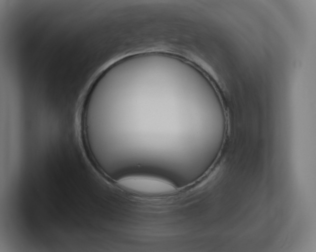 X0000102411500200808011005
