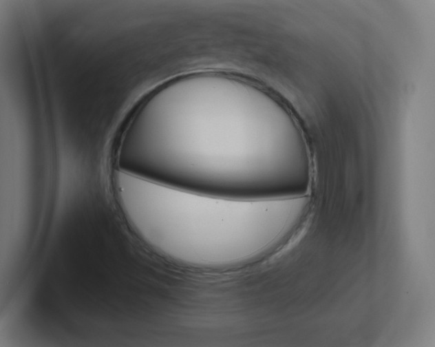 X0000102411501200808011005