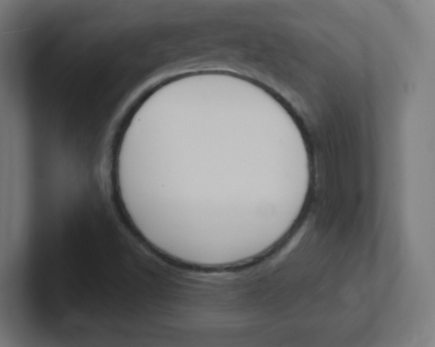 X0000102411502200808011005