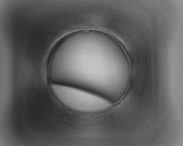 X0000102411503200808011005