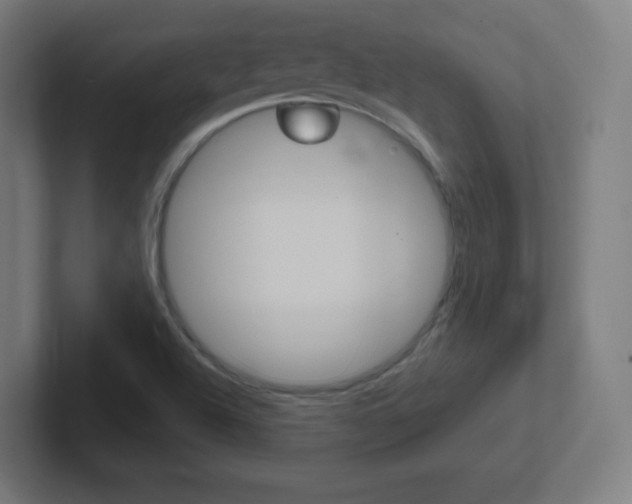 X0000102411504200808011005