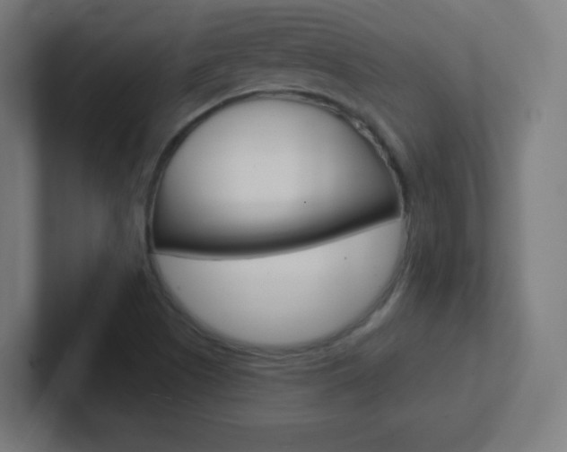 X0000102411505200808011005