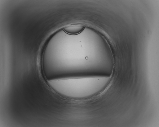 X0000102411506200808011005