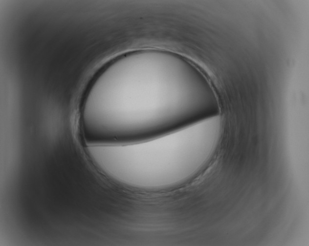 X0000102411507200808011005