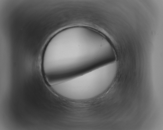 X0000102411508200808011005