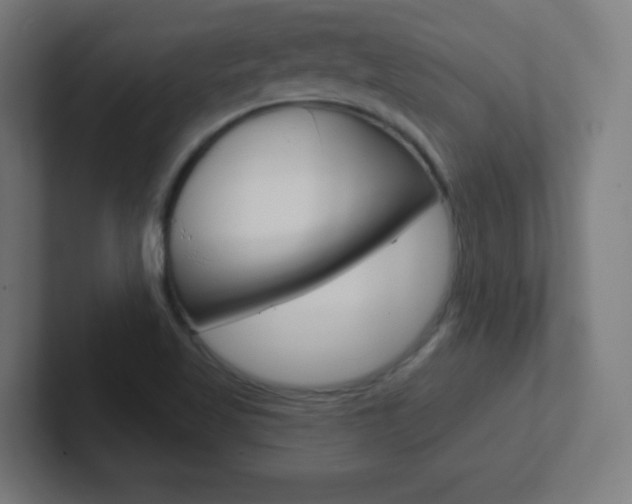 X0000102411509200808011005