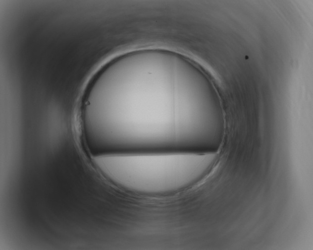 X0000102411510200808011005