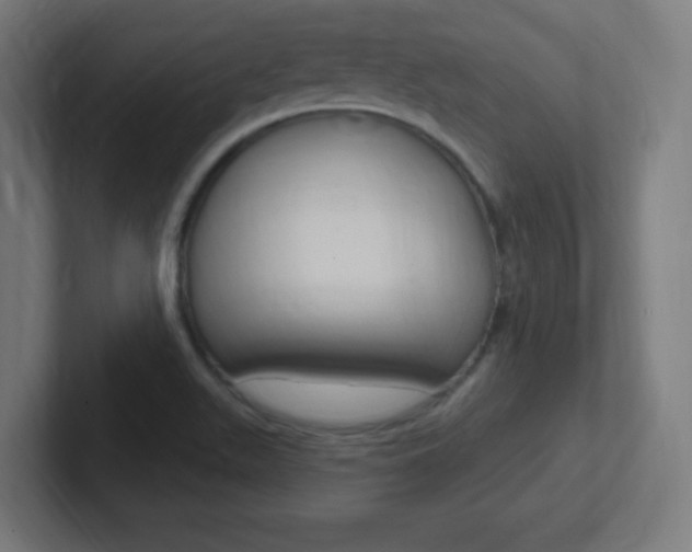 X0000102411511200808011005