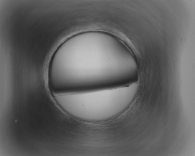 X0000102411512200808011005