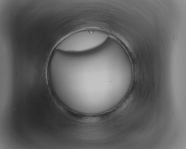 X0000102411513200808011005