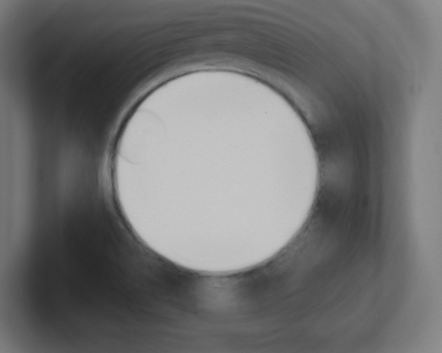 X0000102411514200808011005