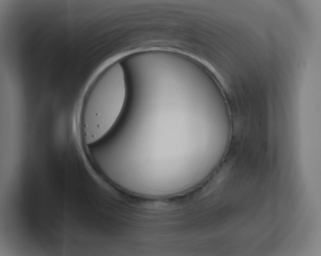 X0000102411515200808011005