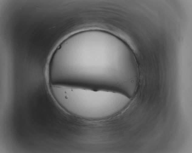 X0000102411516200808011005