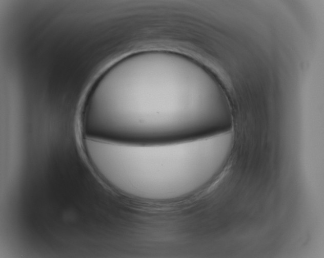 X0000102411517200808011005