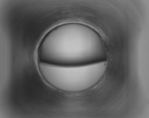 X0000102411519200808011006