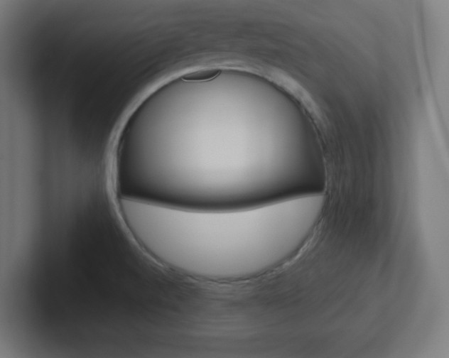 X0000102411520200808011006